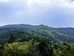 -北京西山国家森林公园