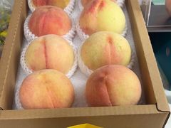 -老袁家蜜桃农场·阳山水蜜桃