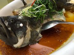 -本炙炭烤·蒲烧活鳗料理店(金沙洲店)