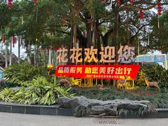 -南宁花花大世界景区