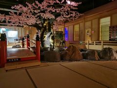 -蓝鲸湾汤泉(包河店)