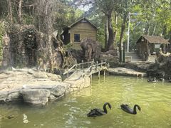 -燕塞湖鸟语林景区