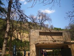 -延安杨家岭革命旧址