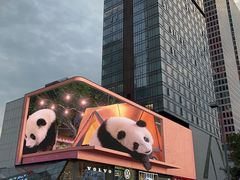 -春熙路步行街
