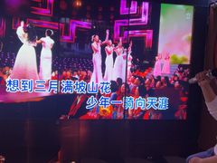 -纯K(打浦桥店)