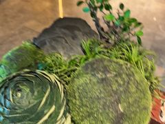 -艺水间水汇