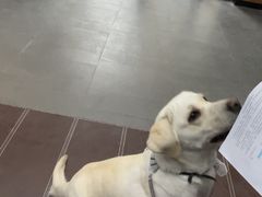 -联合动物医院(光谷诊疗中心)