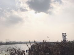 -春花秋色城市公园