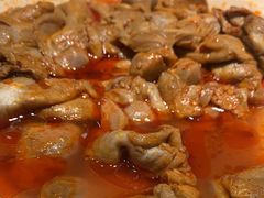 -龍歌自助小火锅(李沧顺和汇店)