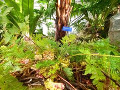 -国家植物园南园