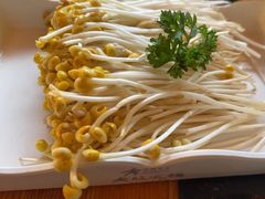 -老版火锅.12年西安排队王(沣峪口店)