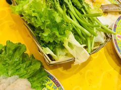 -清真·马家火锅美食城(镇江北路店)