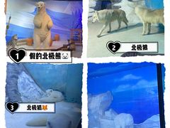 -海合安天津极地海洋公园