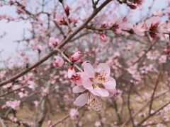 -沈阳植物园
