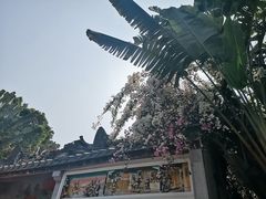 -深圳国际园林花卉博览园