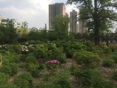 -迎泽公园