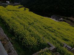 -四明山国家森林公园