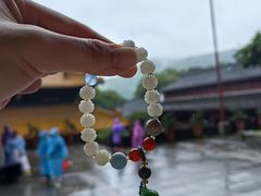 -普陀山风景名胜区-法雨禅寺