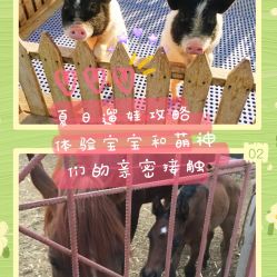 -萌宠亲子动物乐园(槐房万达店)