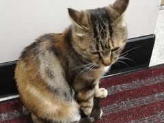 -中国建设银行哈尔滨培训中心