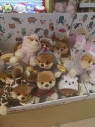 -Nuzzle(静安大悦城店)