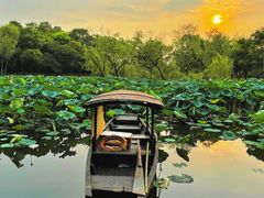 -西溪国家湿地公园