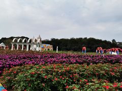-松山湖梦幻百花洲