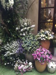 -日光视觉婚纱摄影(旗舰店)