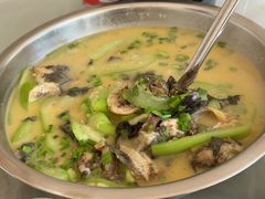 黄鸭叫烧丝瓜-来韶饭店