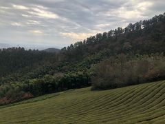 -敬亭山风景名胜区