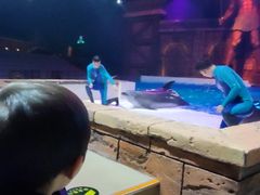 -哈尔滨波塞冬海底世界