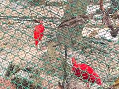 -石排湾郊野公园
