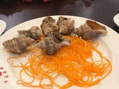 白海螺-万宝海鲜舫(劳动公园店)