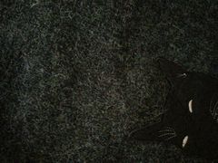 -布瑞琳洗衣(万柳书院店)