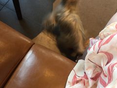 -星巴克臻选(成都宽窄巷子店)