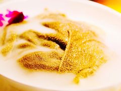 -川西坝子(老军营店)