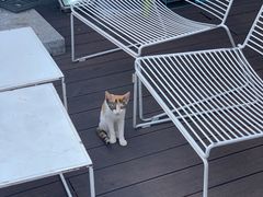 -UNIUNI(凯瑟琳广场店)