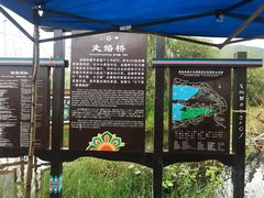 -泸沽湖国家级风景名胜区走婚桥