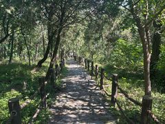 -北京鹫峰国家森林公园