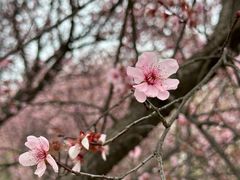 -白塘生态植物园