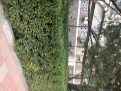 -中央民族大学