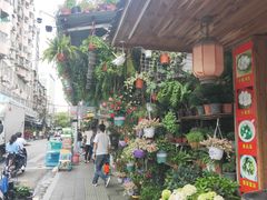 -溪岸路花鸟市场