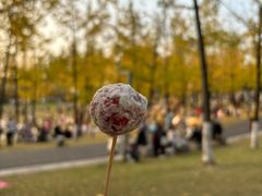 -重庆中央公园(渝北区)