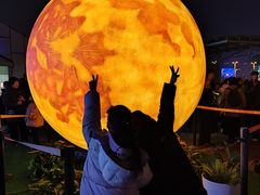 -奈雪的茶(新奥购物中心PRO店)