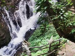 -莫里热带雨林景区