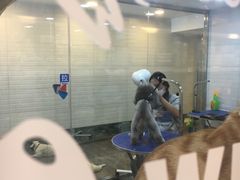 -PETKIT小佩宠物(古北店)