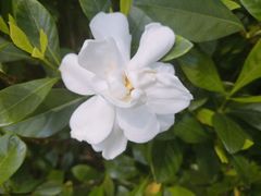 -江门古兜温泉小镇
