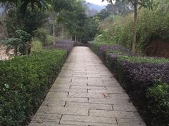 -福清灵石山国家森林公园