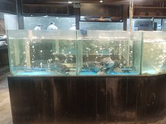 -丹江渔村(首都机场店)
