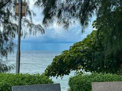 -广东惠东海龟国家级自然保护区